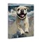 Stupell Industries Sunny Paws Dog on Beach Canvas, design by Svetlana Aleynikova
